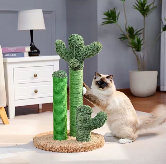 Cactus Cat Scratcher